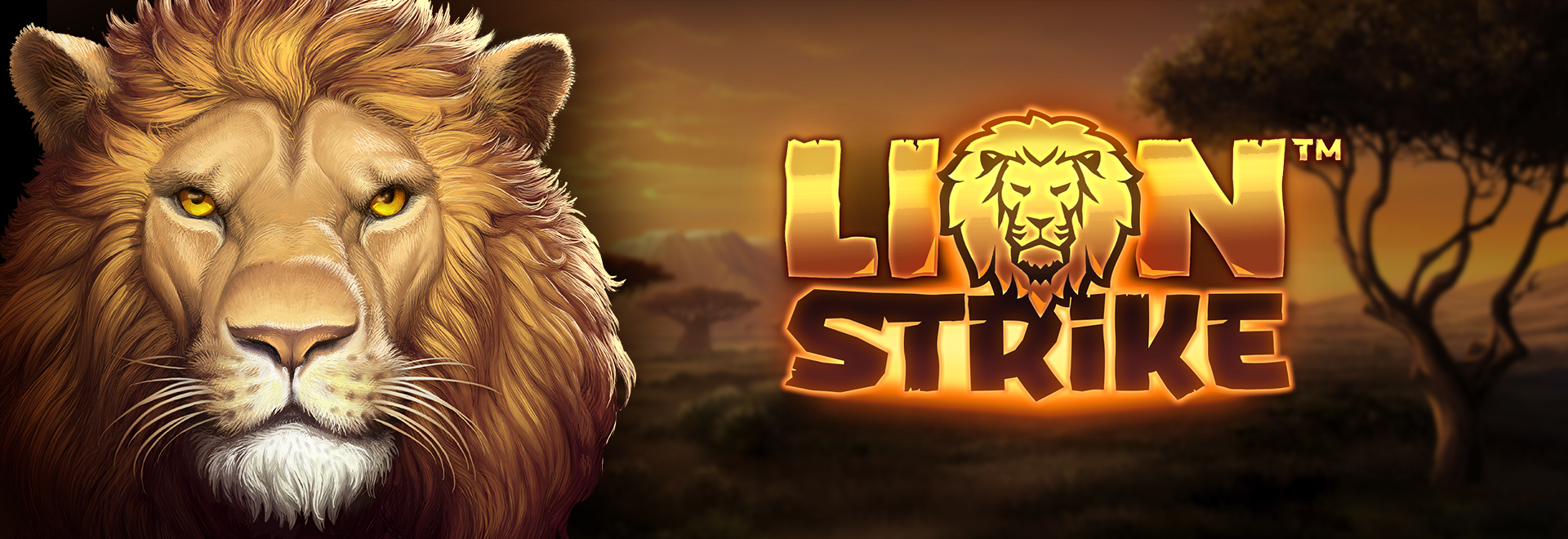 Lionbet casino